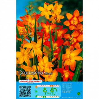 Crocosmia mix multicolor imagine 1