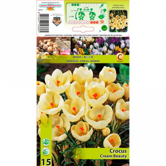 Brândușe Cream Beauty imagine 2