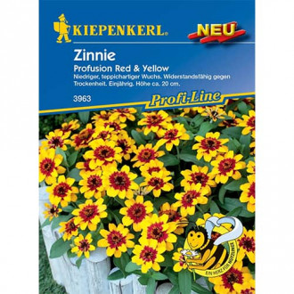 Cynia Profusion Red & Yellow interface.image 8