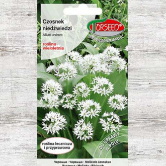 Czosnek niedźwiedzi, nasiona interface.image 7