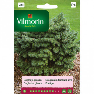 Daglezja glauca zielona Vilmorin interface.image 1
