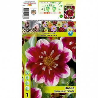 Dalie Impression Fabula imagine 7