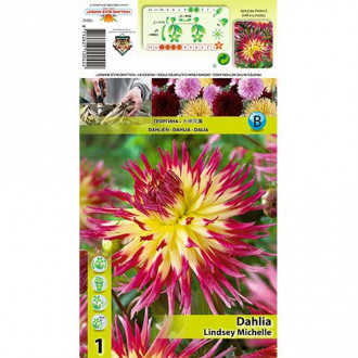 Dalie Lindsay Michelle imagine 9