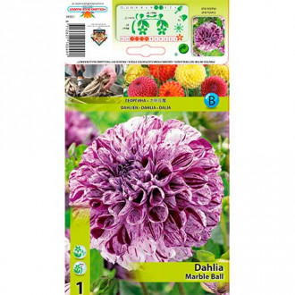 Dalie Marble Ball imagine 9