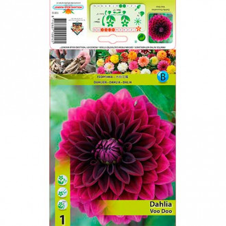 Dalie Voo Doo imagine 16