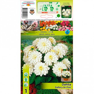 Далия Gallery Art Fairy изображение 15