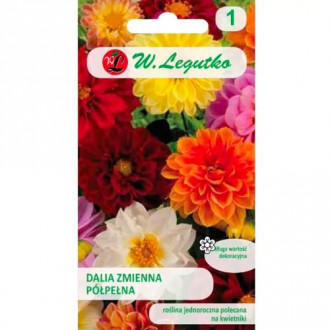 Далия ниска Unwins, смес Legutko изображение 4