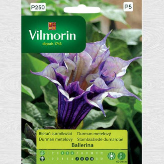 Datura Ballerina imagine 1