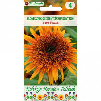 Декоративен слънчоглед Astra Brown изображение 7