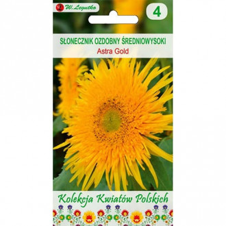 Декоративен слънчоглед Astra Gold изображение 8