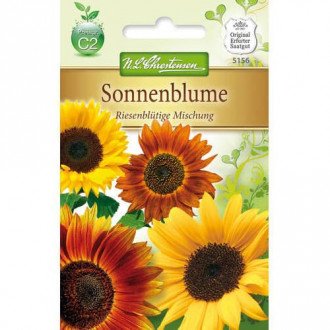 Декоративен слънчоглед Gigant, смес изображение 1