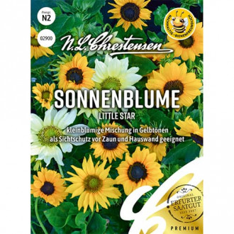 Декоративен слънчоглед Little Star изображение 14