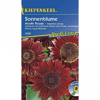 Декоративен слънчоглед Moulin Rouge изображение 4