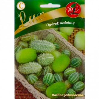 Декоративна краставица, смес Legutko изображение 12