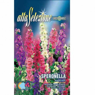 Delphinium (Nemțișor) de câmp, mix multicolor imagine 8