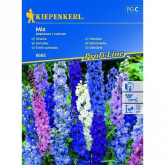Delphinium (Nemțișor) peren, mix multicolor