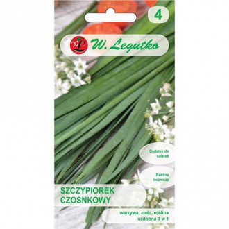 Див лук изображение 11