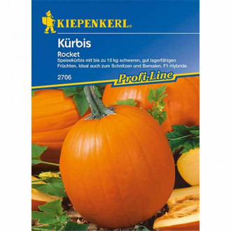 Dovleac Rocket imagine 5