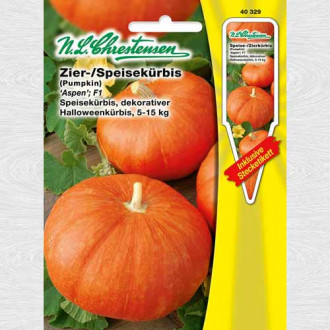 Dovleac Aspen F1 imagine 3