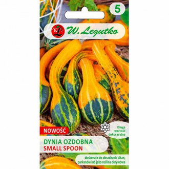 Dovleac decorativ Small Spoon imagine 3