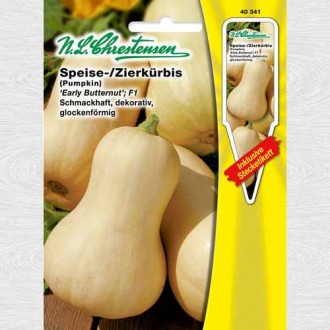 Dovleac Early Butternut F1 imagine 13