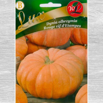 Dovleac gigant Rouge vif d'Etampes imagine 8