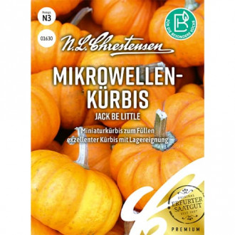 Dovleac Jack Be Little imagine 17