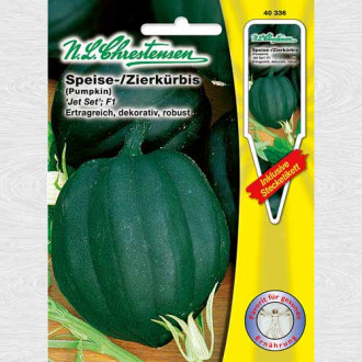 Dovleac Jet Set imagine 7