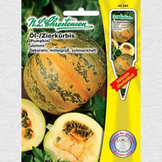 Dovlecel Junona imagine 7