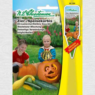 Dovlecel ornamental Bastelatsz, amestec imagine 7