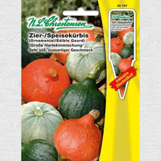 Dovlecel ornamental Big Harlequin, amestec imagine 8