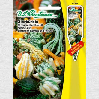 Dovlecel ornamental Indian Mix imagine 3