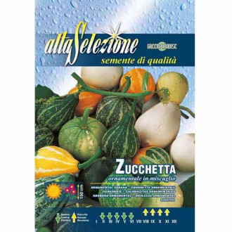 Dovlecel ornamental, mix multicolor imagine 5