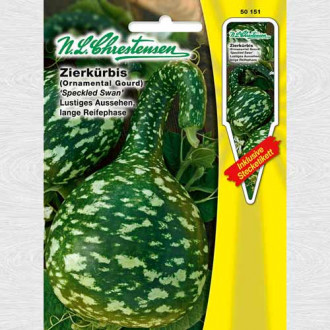 Dovlecel ornamental Speckled Swan imagine 4