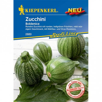 Dovlecel zucchini Boldenice F1 Kiepenkerl imagine 1