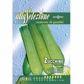 Dovlecel zucchini Genovese imagine 2