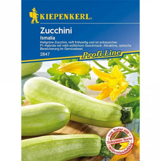 Dovlecel zucchini Ismalia F1 imagine 4