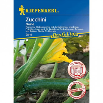 Dovlecel zucchini Quine F1 imagine 10