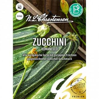 Dovlecel zucchini Romanesco imagine 6