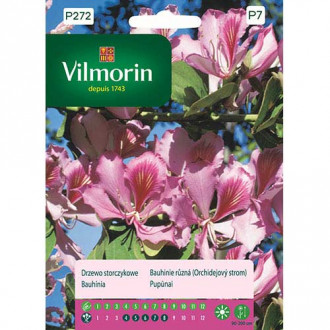Drzewo storczykowe (Bauhinia) Vilmorin interface.image 1