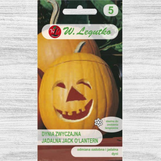 Dynia ozdobna jadalna Jack O'Lantern Legutko interface.image 4