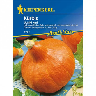 Dynia Uchiki Kuri interface.image 16