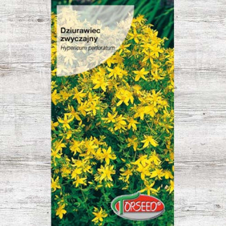 Dziurawiec zwyczajny, nasiona interface.image 2