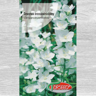 Dzwonek brzoskwiniolistny biały interface.image 12