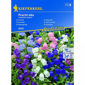 Dzwonek (Campanula), mix kolorow interface.image 1