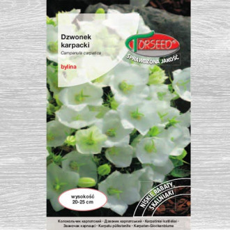 Dzwonek karpacki biały interface.image 5
