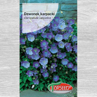 Dzwonek karpacki niebieski interface.image 4