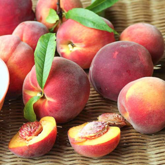 Праскова Carlo изображение 14