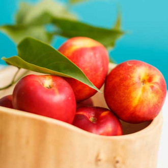 Нектарина Star Coral изображение 16