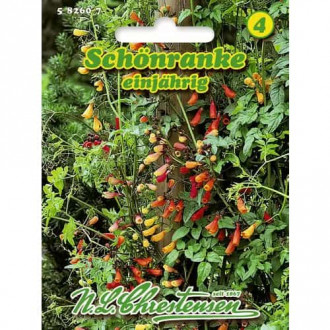 Eccremocarpus anual imagine 1